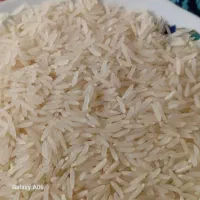 برنج فجر سوزنی کشت مینودشت به شرط پخت