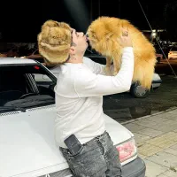 پامر خرسی ماده