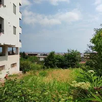مشارکت در ساخت پلاک یک جنگل|مشارکت در ساخت املاک|نوشهر, |دیوار