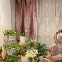 کتیبه در حد نو آسترکشی شده و زانفیکس