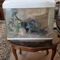 اکواریوم