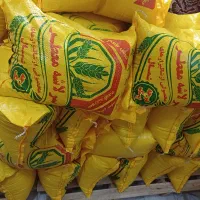 برنج سرلاشه کشت دو بینام