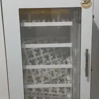 دستگاه جوجه کشی|لوازم جانبی حیوانات|دورود, |دیوار