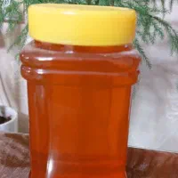فروش عسل طبیعی(کوه پناه تفرش) به صورت عمده و جزئی|خوردنی و آشامیدنی|تفرش, |دیوار
