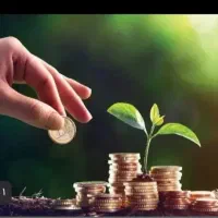 سرمایه گذاری در کار های سود ده