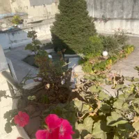 سرایداری برای منزل