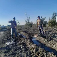 خدمات باغبانی پذیرفته میشود