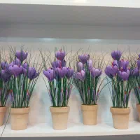 گل زعفران (مصنوعی )