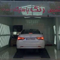 تشخیص رنگ پاسارگاد