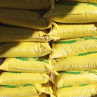 فروش فوق العاده برنج فجر