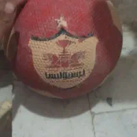 توب قانونی پرسپولیس