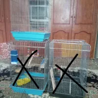 ۳عدد قفس ۶۰۰هزار
