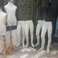 قفسه و رگال|کتابخانه، شلف، قفسه‌های دیواری|قدس, شهر‌قدس|دیوار