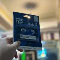 Patriot P210 256Gb گارانتی الماس