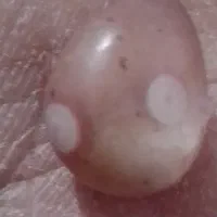 عقیق|کلکسیون اشیاء عتیقه|تایباد, |دیوار