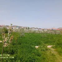 باغ در شهرستان اهر|فروش زمین و ملک کلنگی|اهر, |دیوار