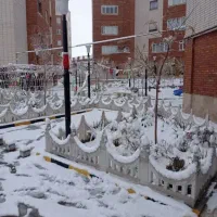 فروش-انحصاری-زیتون