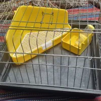 قفس خرگوش و همستر