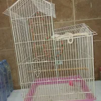 قفس پرنده|لوازم جانبی حیوانات|چناران, |دیوار