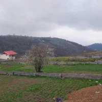 زمین-1000متری-مسکونی-سوادکوه
