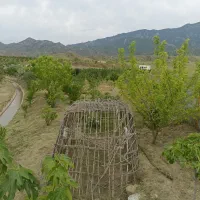 فروش زمین باغی از هزار متر تا بیشتر