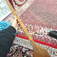 ساز،سه تار ،|سازهای سنتی|رودهن, |دیوار