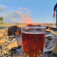 گروه کوهنوردی ( پرواز)