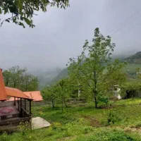 1000متر زمین مسکونی سند تک برگ در دل طبیعت|فروش زمین و ملک کلنگی|رضوانشهر, |دیوار