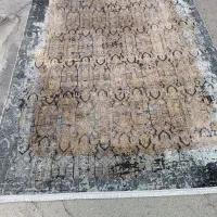 یک جفت 6متری جدید درحد نونو