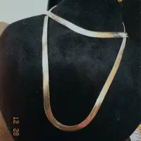 بدلیجات