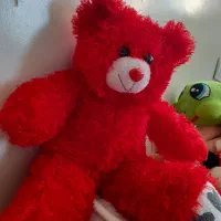 خرس بزرگ پشمالو