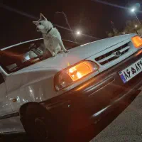 واگذاری سگ پاپی|سگ|لنجان, |دیوار