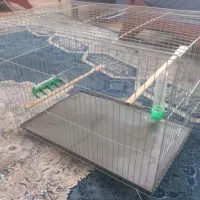 قفس پرنده
