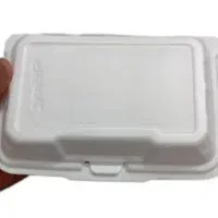 ظرف یکبار مصرف