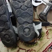 دمپایی تابستانه پشت بند دار|کیف، کفش، کمربند|تالش, جوکندان|دیوار