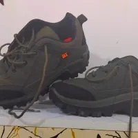 کفش|کیف، کفش، کمربند|شادگان, |دیوار