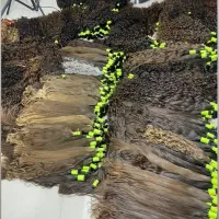 خریدار موهای طبیعی خرید مو بدون واسطه