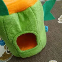 خونه ی عروس هلندی مرغ عشق فنچ مرغ مینا|لوازم جانبی حیوانات|قزوین, |دیوار