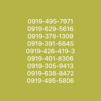 ۰۹۱۹قیمت مناسب