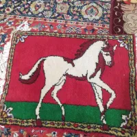فرش پادری اسب