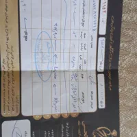 فروش 4لنگه النگو نو نو نو|جواهرات|صدرا-فارس, فاز ۱|دیوار