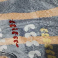 پتومسافرتی