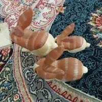 مقداری مجسمه تمیز|مجسمه، تندیس، ماکت|اهواز, گلستان|دیوار