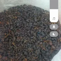 مویز درجه یک
