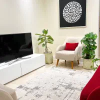 تعدادی تابلو کار دست آنتیک درجه یک|تابلو، نقاشی، عکس|تهران, نارمک|دیوار