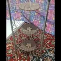 جا سیب زمینی پیاز سالم