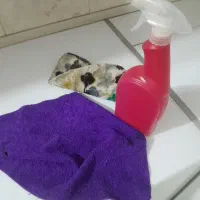 خدمات نظافت