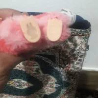 لبو بو|اسباب‌بازی بچه|تاکستان, |دیوار