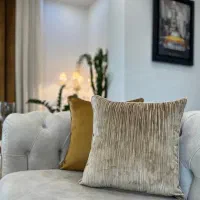 کوسن طرح شاهان|مبلمان خانگی و میز عسلی|تهران, اختیاریه|دیوار