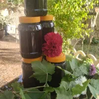 شیره انگور درجه یک